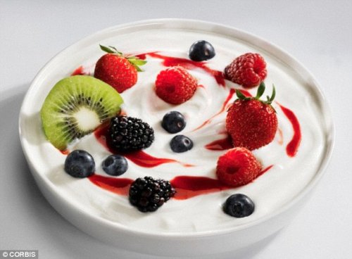 yogurt2